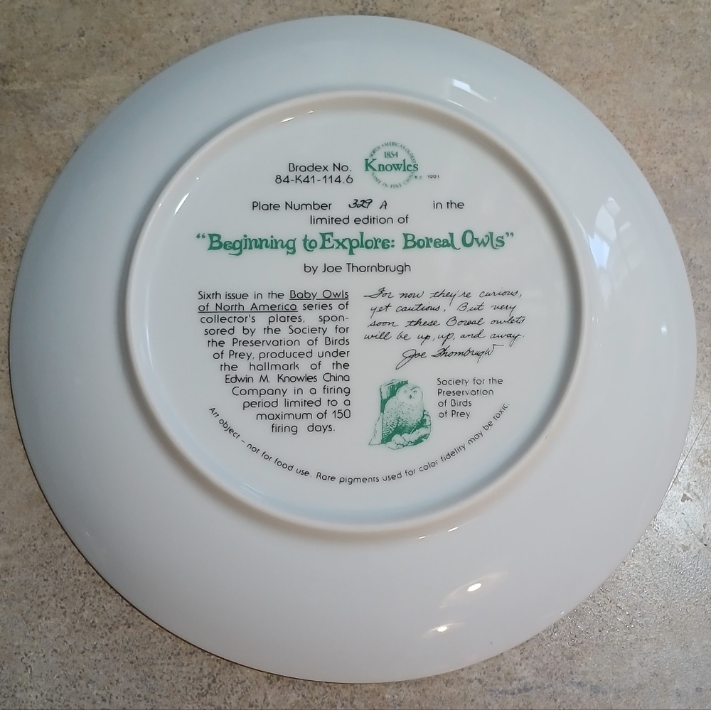 "Beginning To Explore" Boreal Owls | Signed | Limited Edition - Picture 2 of 5